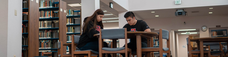 sdsu students studying quietly in library